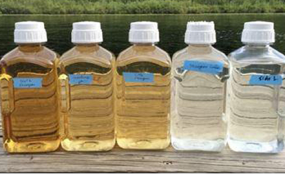 Bottled water with various levels of CDOM.