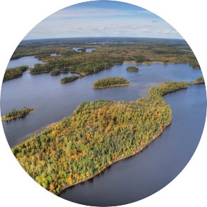 Aerial view of water and trees.